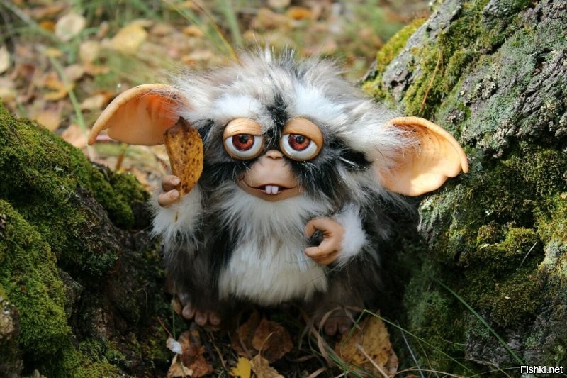 Чебурашка с зубами, похож на гремлина.