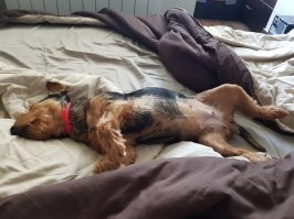 И вам, доброе утро!!