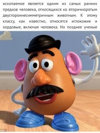 Не картошка и не микроб: ученые нашли странного хищника из кембрийского периода