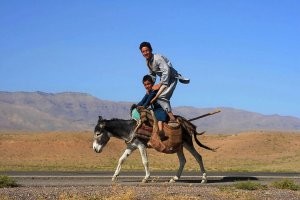 Страйк: водитель «Лады» протаранил внедорожник