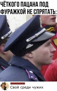 Смешные и познавательные картинки