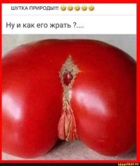 Смешные и познавательные картинки