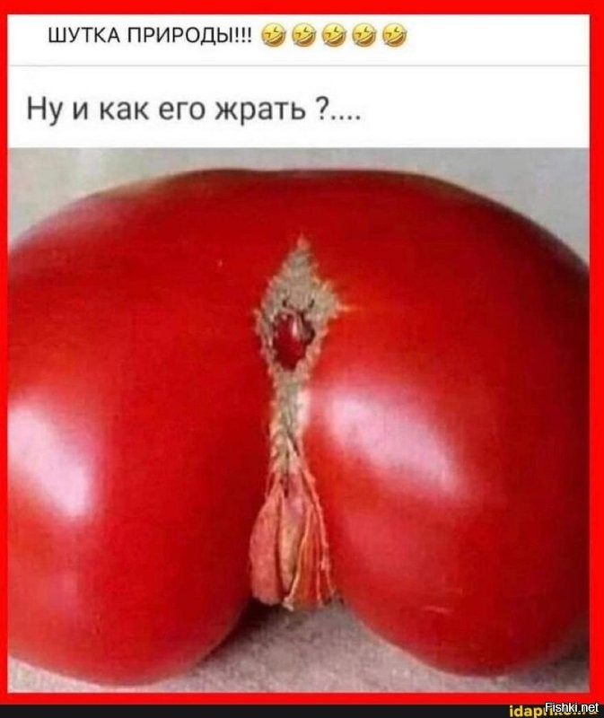 Смешные и познавательные картинки
