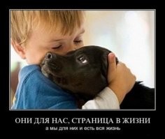 Встреча собаки с хозяином после нескольких лет разлуки