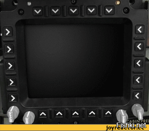 Первая игра с юным хозяином