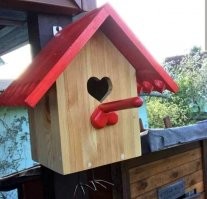 Смешные и познавательные картинки