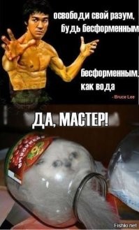 "Мне так удобно!": животные, которые вместились в неожиданные места