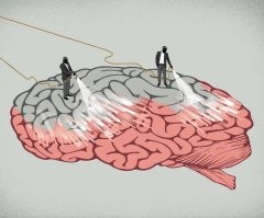 Если внимательно оглядеться вокруг, то понимаешь - алхимики преуспели в своём деле и создали гомункула, притом решили задачу самовоспроизведения этих существ.
 Современные технологии решают эту проблему ещё проще.