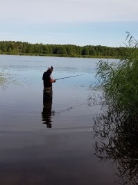 Фотки у нашего дома , вот так у нас вечереет . Кота просто так поставил он мне уже 12 лет жить не дает :) как только мангал разжигаю тут как тут и орет дурниной МЯУ или если с латышского перевести МОСКАЛЬ МЯСО ДАЙ МЯУ если не понял :)