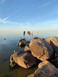 Фотки у нашего дома , вот так у нас вечереет . Кота просто так поставил он мне уже 12 лет жить не дает :) как только мангал разжигаю тут как тут и орет дурниной МЯУ или если с латышского перевести МОСКАЛЬ МЯСО ДАЙ МЯУ если не понял :)