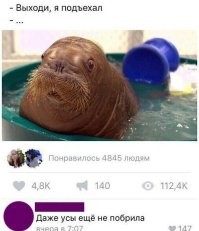 По последней - Темнота! Мультика не видела!