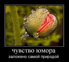 15 фотографий эмоциональных предметов