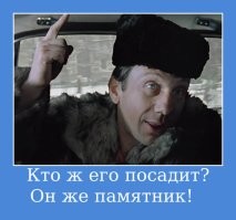 Депутат "заминировал" самолёт в Пулково ради справедливости