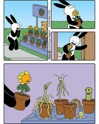 Забавные комиксы с интересным юмором