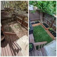 Листья на деревьях тоже за 12 часов работы выросли?