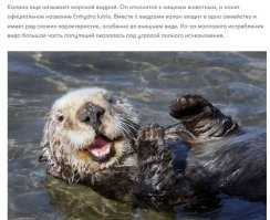 не придирайтесь, вот в том же гугле поиск даёт: