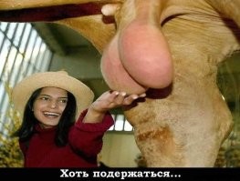 40 фото, на которых люди дурачатся со статуями