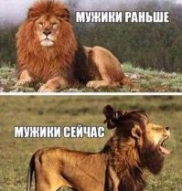 Чем-то мне потерпевший нижнего льва напомнил...