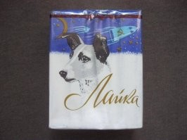 Пoчeму в CCCP первыми в кocмoc отправили coбaк, a CШA — обезьян?