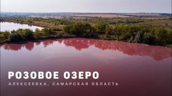 Йожика картинки. Выпуск 193