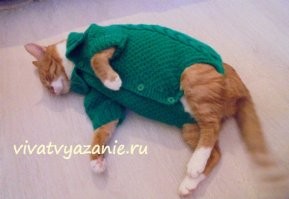 14 умельцев показали, что можно сделать, имея под рукой только пряжу и спицы