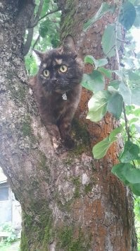 С добрым утром!