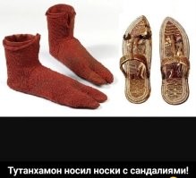 Смешные и познавательные картинки