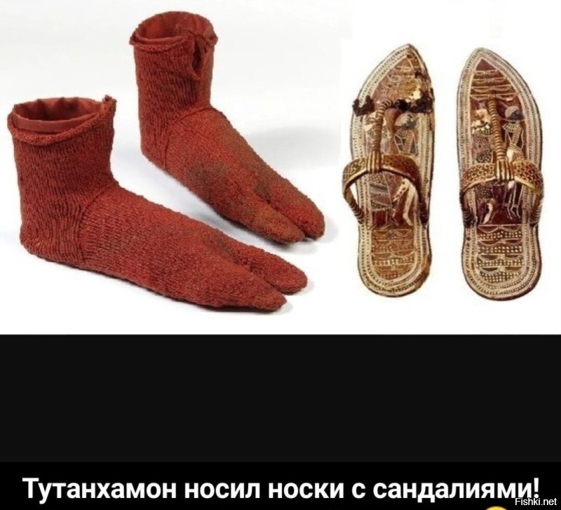 Смешные и познавательные картинки