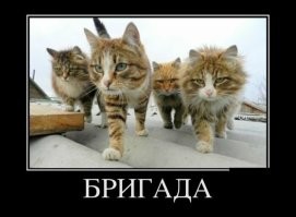 Йожика картинки. Выпуск 194