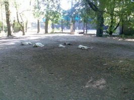 14 умельцев показали, что можно сделать, имея под рукой только пряжу и спицы