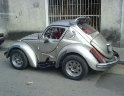 Автовсячина