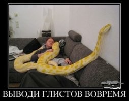 Смешные и познавательные картинки