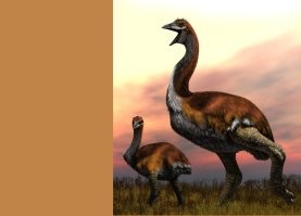 Птицы из семейства эпиорнисовых (Aepyornithidae) обитали на Мадагаскаре. Большинство из них вымерло около тысячи лет назад, вероятно, по вине человека, хотя сообщения об эпиорнисовых птицах появлялись до середины XVIII века. Это были крупнейшие птицы в истории. Их ближайшими современными родственниками являются новозеландские киви. По оценкам исследователей, эпиорнисы могли достигать трех метров в высоту и весить до 400 килограммов. Они несли яйца, которые по объему были в 160 раз больше куриных и достигали в длину 34 сантиметров.
Vorombe titan впервые был описан Чарльзом Уильямом Эндрюсом как Aepyornis titan в 1894 году.  Это была еще более крупная птица, которая весила от 570 до 730 килограммов, примерно столько же, сколько небольшие динозавры-зауроподы.