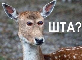 "Гроб, в котором перевозили из Далласа Джона Кеннеди, был утоплен в море."