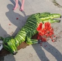 Зверства веганов не знают границ!