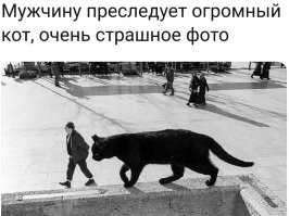 17 крупнейших птиц планеты, которые не стесняются демонстрировать мощь и силу