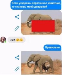 Анекдот напомнило:
Баба-Яга поймала доброго молодца;
- Если угадаешь мою загадку, я тебе отдамся, а не угадаешь - я тебя съем!
- Ну, загадывай.
- Зелененькая, по болоту прыгает, на ЛЯ начинается, на ГУШКА заканчивается.
- Кузнечик!
- А-а-а, шалунишка, угадал!