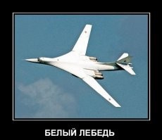 17 крупнейших птиц планеты, которые не стесняются демонстрировать мощь и силу