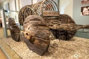 35 потрясающих археологических открытий и находок