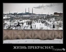 Смешные комментарии из&nbsp;социальных сетей-94