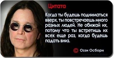 Йожика картинки. Выпуск 195