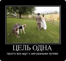 Йожика картинки. Выпуск 195