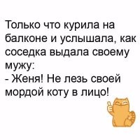 Йожика картинки. Выпуск 195