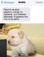Ибо нех@й иностранщиной язык засорять. Чем "домашний тиран" не устраивает?..