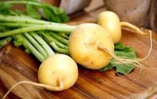 русский бергамот