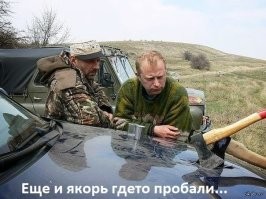 17 раз, когда прогулка по лесу оказалась интереснее, чем поездка в Диснейленд