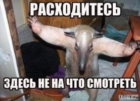 Что там расследовать-то? Обделённый интеллектом спалил фабрику.