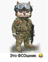 Котенок пытался пробраться на встречу Мишустина со своим киргизским коллегой