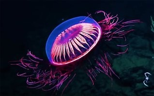 Все встало на свои места!