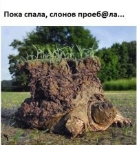 Чудно, удивительно и странно: 40 необычных фото от пользователей сети